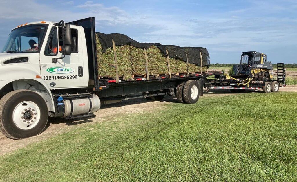 Prolawn turf and landscape's expert sod delivery