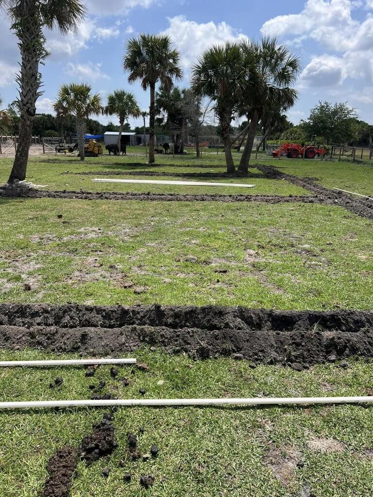 "Wide view of irrigation installation with trenches and pipes across a grassy landscape, surrounded by palm trees, during a landscaping project by Pro Lawn Turf & Landscape.