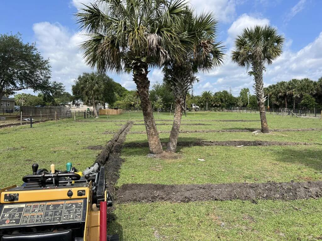"Trenching work in progress for irrigation installation around palm trees in a grassy field, with construction equipment on site, completed by Pro Lawn Turf & Landscape.