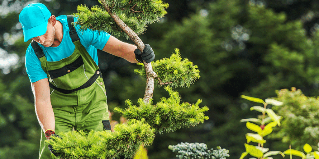 tree service viera fl
