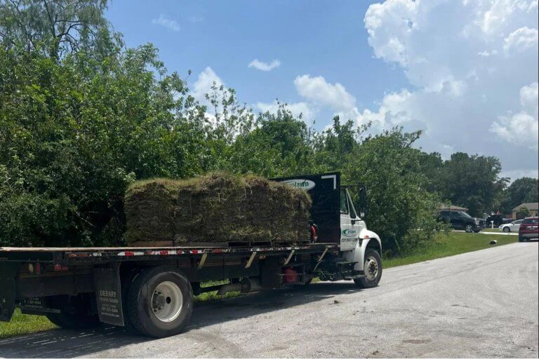sod types Palm Bay FL