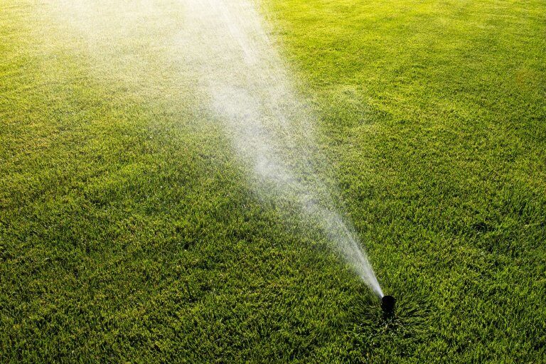 Why Is My Sprinkler Zone Not Working? Common Causes in Florida Heat