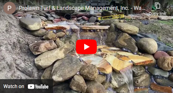 Prolawn Turf & Landscape Management, Inc.'s YouTube Video